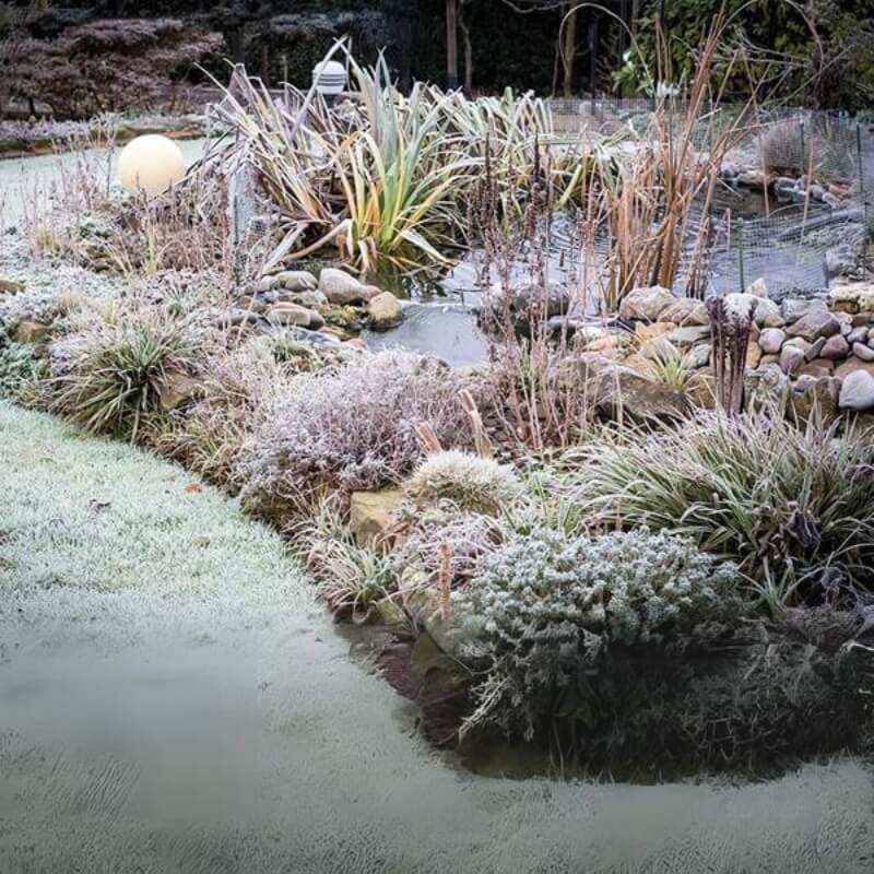Winter Pond 500 g